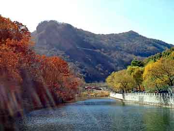 管家婆黑白马报图库，番茄写的小说